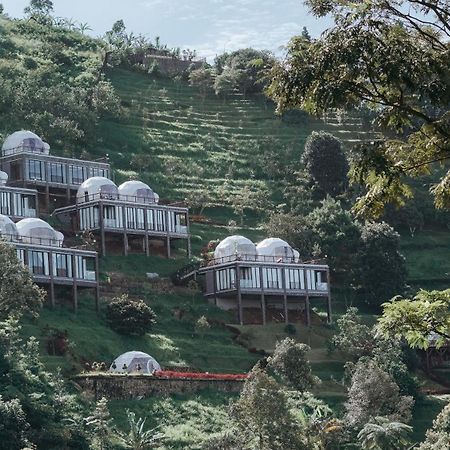 Damar Langit Resort 씨사루아 외부 사진