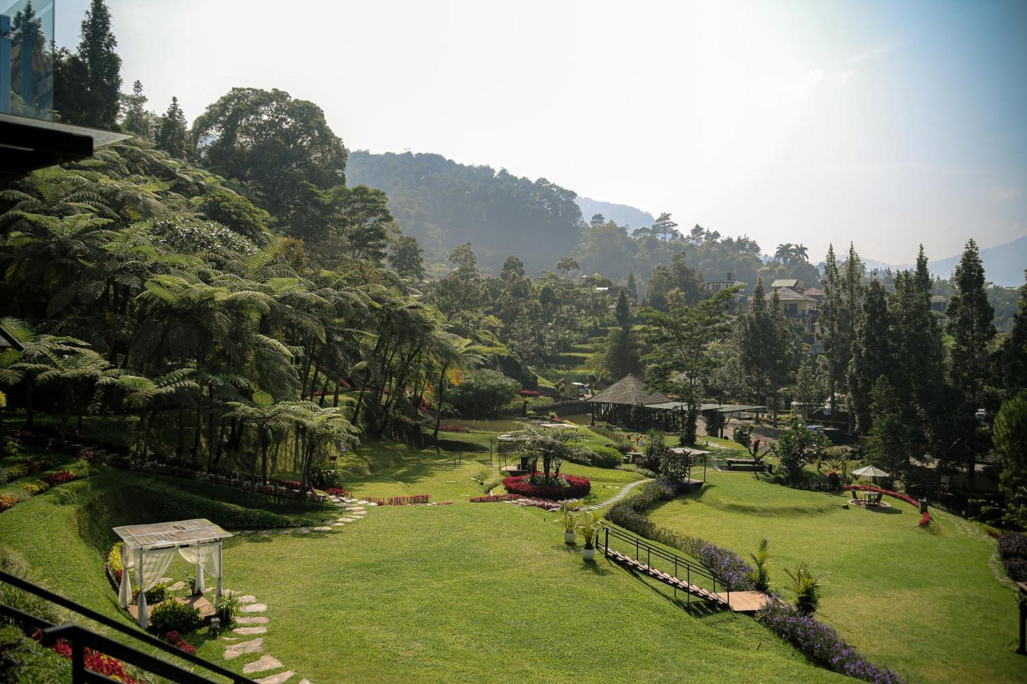 Damar Langit Resort 씨사루아 외부 사진