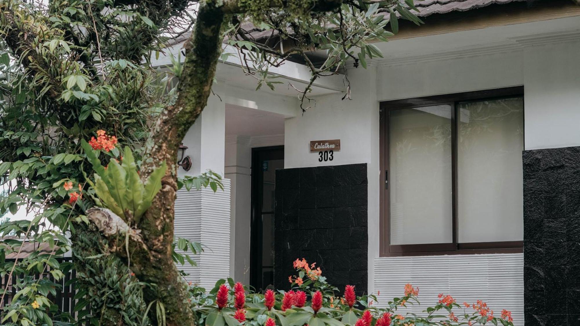 Damar Langit Resort 씨사루아 외부 사진